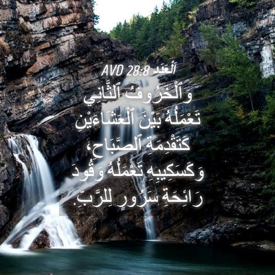 Picture 04 - اَلْعَدَد 28:8 AVD - وَٱلْخَرُوفُ ٱلثَّانِي - Bible Verse Picture