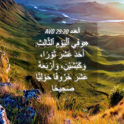 Picture 04 - اَلْعَدَد 29:20 AVD - «وَفِي ٱلْيَوْمِ - Bible Verse Picture
