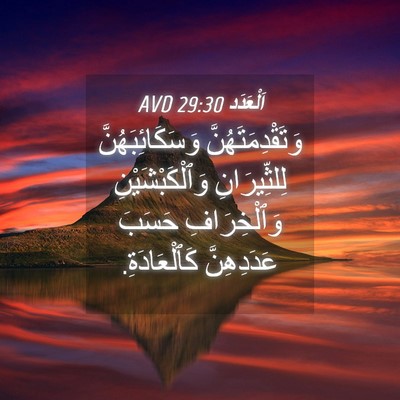 Picture 04 - اَلْعَدَد 29:30 AVD - وَتَقْدِمَتَهُنَّ - Bible Verse Picture