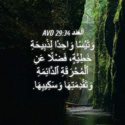 Picture 04 - اَلْعَدَد 29:34 AVD - وَتَيْسًا وَاحِدًا - Bible Verse Picture