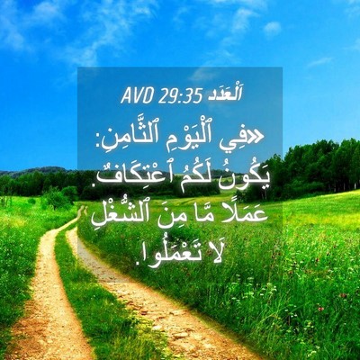 Picture 04 - اَلْعَدَد 29:35 AVD - «فِي ٱلْيَوْمِ ٱلثَّامِنِ: - Bible Verse Picture
