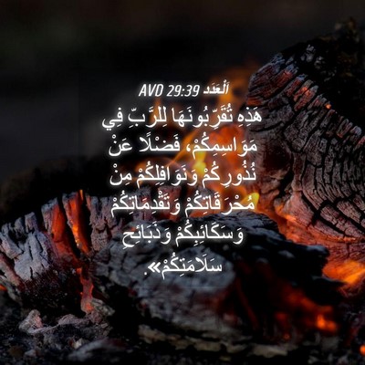 Picture 04 - اَلْعَدَد 29:39 AVD - هَذِهِ تُقَرِّبُونَهَا - Bible Verse Picture