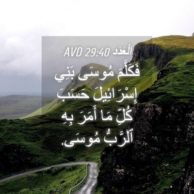 Picture 04 - اَلْعَدَد 29:40 AVD - فَكَلَّمَ مُوسَى بَنِي - Bible Verse Picture