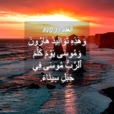 Picture 04 - اَلْعَدَد 3:1 AVD - وَهَذِهِ تَوَالِيدُ - Bible Verse Picture