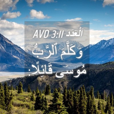 Picture 04 - اَلْعَدَد 3:11 AVD - وَكَلَّمَ ٱلرَّبُّ مُوسَى - Bible Verse Picture