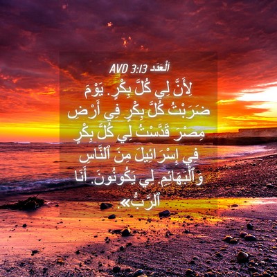 Picture 04 - اَلْعَدَد 3:13 AVD - لِأَنَّ لِي كُلَّ بِكْرٍ. - Bible Verse Picture