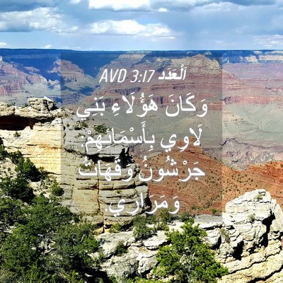 Picture 04 - اَلْعَدَد 3:17 AVD - وَكَانَ هَؤُلَاءِ بَنِي - Bible Verse Picture