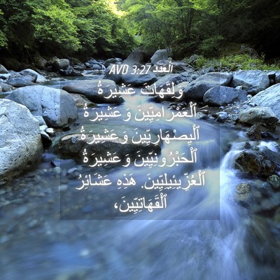 Picture 04 - اَلْعَدَد 3:27 AVD - وَلِقَهَاتَ عَشِيرَةُ - Bible Verse Picture