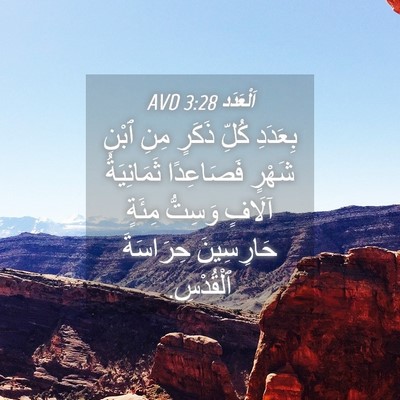 Picture 04 - اَلْعَدَد 3:28 AVD - بِعَدَدِ كُلِّ ذَكَرٍ مِنِ - Bible Verse Picture