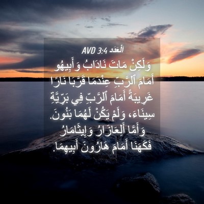 Picture 04 - اَلْعَدَد 3:4 AVD - وَلَكِنْ مَاتَ نَادَابُ - Bible Verse Picture