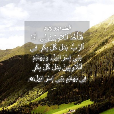 Picture 04 - اَلْعَدَد 3:41 AVD - فَتَأْخُذُ ٱللَّاوِيِّينَ - Bible Verse Picture