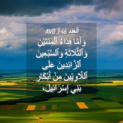 Picture 04 - اَلْعَدَد 3:46 AVD - وَأَمَّا فِدَاءُ - Bible Verse Picture