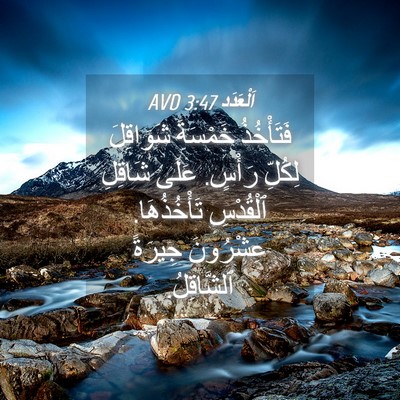 Picture 04 - اَلْعَدَد 3:47 AVD - فَتَأْخُذُ خَمْسَةَ - Bible Verse Picture