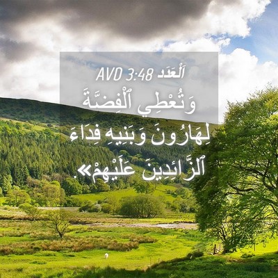 Picture 04 - اَلْعَدَد 3:48 AVD - وَتُعْطِي ٱلْفِضَّةَ - Bible Verse Picture