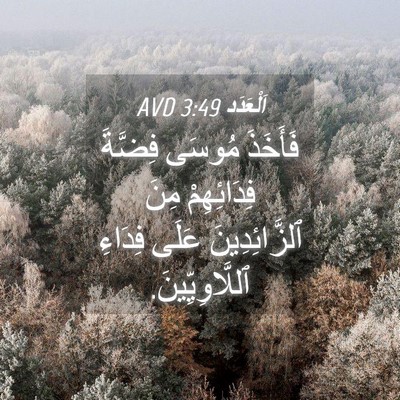 Picture 04 - اَلْعَدَد 3:49 AVD - فَأَخَذَ مُوسَى فِضَّةَ - Bible Verse Picture