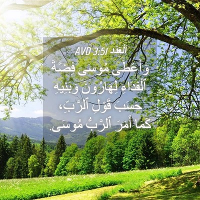 Picture 04 - اَلْعَدَد 3:51 AVD - وَأَعْطَى مُوسَى فِضَّةَ - Bible Verse Picture