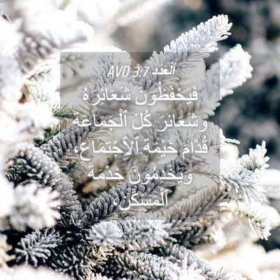 Picture 04 - اَلْعَدَد 3:7 AVD - فَيَحْفَظُونَ شَعَائِرَهُ - Bible Verse Picture