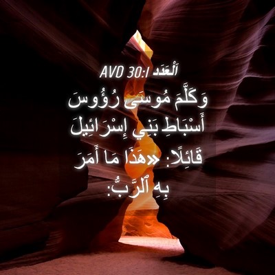 Picture 04 - اَلْعَدَد 30:1 AVD - وَكَلَّمَ مُوسَى رُؤُوسَ - Bible Verse Picture