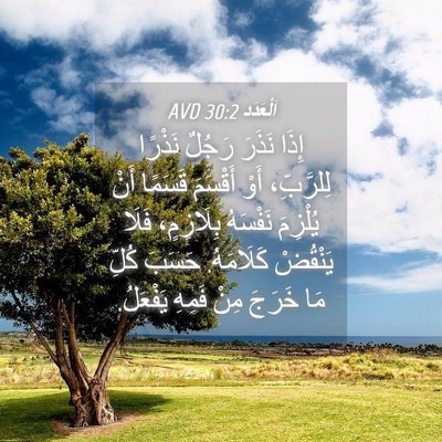 Picture 04 - اَلْعَدَد 30:2 AVD - إِذَا نَذَرَ رَجُلٌ - Bible Verse Picture