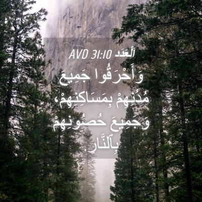 Picture 04 - اَلْعَدَد 31:10 AVD - وَأَحْرَقُوا جَمِيعَ - Bible Verse Picture