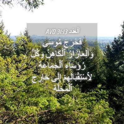 Picture 04 - اَلْعَدَد 31:13 AVD - فَخَرَجَ مُوسَى - Bible Verse Picture