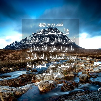 Picture 04 - اَلْعَدَد 31:23 AVD - كُلُّ مَا يَدْخُلُ - Bible Verse Picture