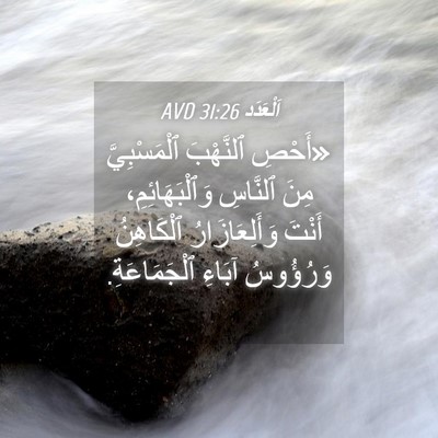 Picture 04 - اَلْعَدَد 31:26 AVD - «أَحْصِ ٱلنَّهْبَ - Bible Verse Picture