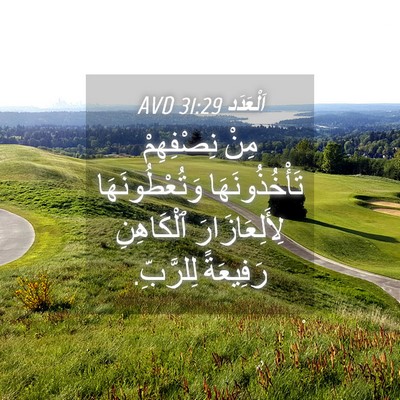 Picture 04 - اَلْعَدَد 31:29 AVD - مِنْ نِصْفِهِمْ - Bible Verse Picture