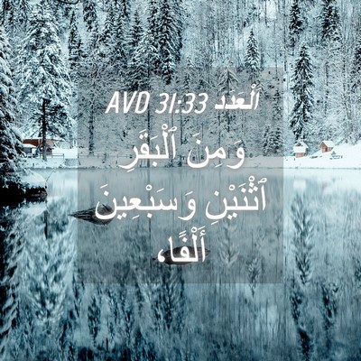 Picture 04 - اَلْعَدَد 31:33 AVD - وَمِنَ ٱلْبَقَرِ - Bible Verse Picture