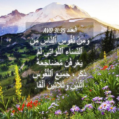 Picture 04 - اَلْعَدَد 31:35 AVD - وَمِنْ نُفُوسِ ٱلنَّاسِ - Bible Verse Picture