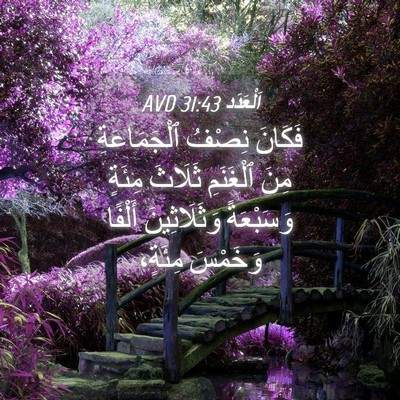 Picture 04 - اَلْعَدَد 31:43 AVD - فَكَانَ نِصْفُ - Bible Verse Picture