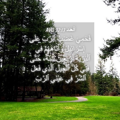 Picture 04 - اَلْعَدَد 32:13 AVD - فَحَمِيَ غَضَبُ ٱلرَّبِّ - Bible Verse Picture