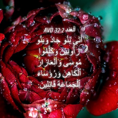 Picture 04 - اَلْعَدَد 32:2 AVD - أَتَى بَنُو جَادَ وَبَنُو - Bible Verse Picture