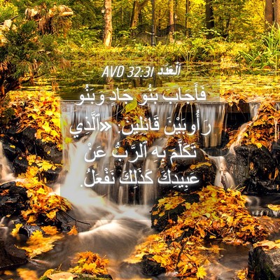 Picture 04 - اَلْعَدَد 32:31 AVD - فَأَجَابَ بَنُو جَادٍ - Bible Verse Picture