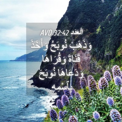 Picture 04 - اَلْعَدَد 32:42 AVD - وَذَهَبَ نُوبَحُ وَأَخَذَ - Bible Verse Picture