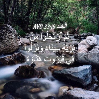 Picture 04 - اَلْعَدَد 33:16 AVD - ثُمَّ ٱرْتَحَلُوا مِنْ - Bible Verse Picture