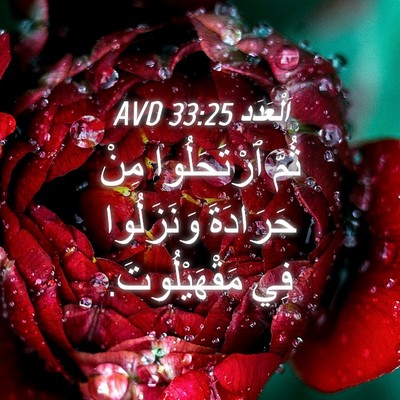 Picture 04 - اَلْعَدَد 33:25 AVD - ثُمَّ ٱرْتَحَلُوا مِنْ - Bible Verse Picture