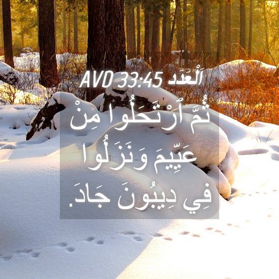Picture 04 - اَلْعَدَد 33:45 AVD - ثُمَّ ٱرْتَحَلُوا مِنْ - Bible Verse Picture