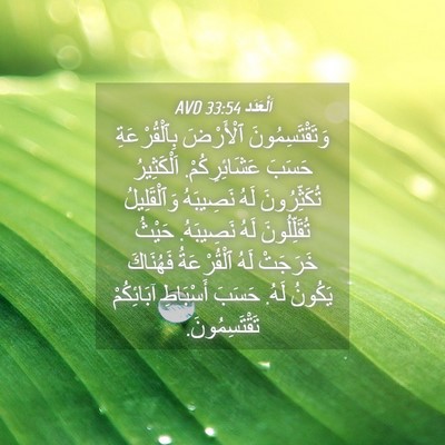 Picture 04 - اَلْعَدَد 33:54 AVD - وَتَقْتَسِمُونَ ٱلْأَرْضَ - Bible Verse Picture