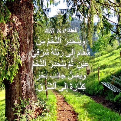 Picture 04 - اَلْعَدَد 34:11 AVD - وَيَنْحَدِرُ ٱلتَّخْمُ - Bible Verse Picture