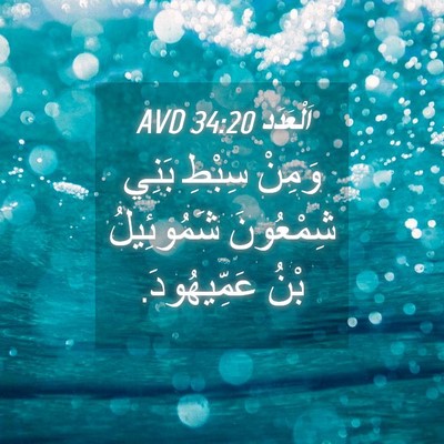 Picture 04 - اَلْعَدَد 34:20 AVD - وَمِنْ سِبْطِ بَنِي - Bible Verse Picture