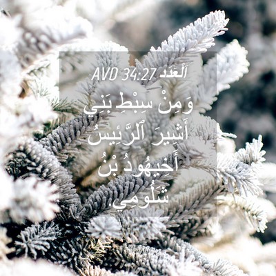 Picture 04 - اَلْعَدَد 34:27 AVD - وَمِنْ سِبْطِ بَنِي - Bible Verse Picture