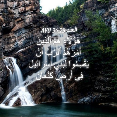 Picture 04 - اَلْعَدَد 34:29 AVD - هَؤُلَاءِ هُمُ ٱلَّذِينَ - Bible Verse Picture
