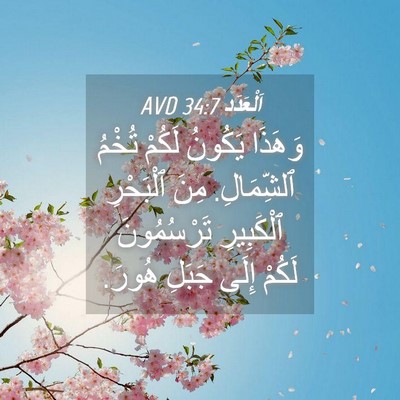 Picture 04 - اَلْعَدَد 34:7 AVD - وَهَذَا يَكُونُ لَكُمْ - Bible Verse Picture