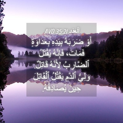 Picture 04 - اَلْعَدَد 35:21 AVD - أَوْ ضَرَبَهُ بِيَدِهِ - Bible Verse Picture