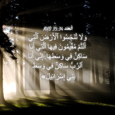Picture 04 - اَلْعَدَد 35:34 AVD - وَلَا تُنَجِّسُوا - Bible Verse Picture