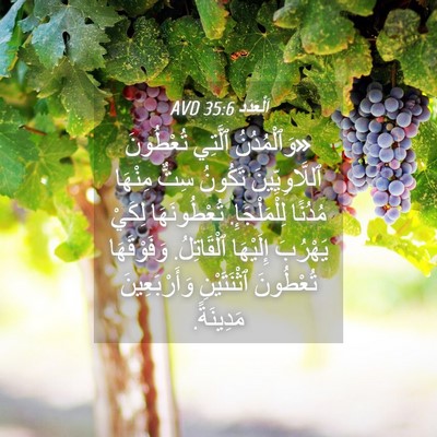 Picture 04 - اَلْعَدَد 35:6 AVD - «وَٱلْمُدُنُ ٱلَّتِي - Bible Verse Picture
