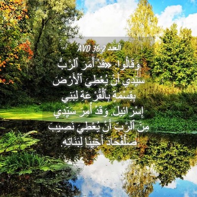 Picture 04 - اَلْعَدَد 36:2 AVD - وَقَالُوا: «قَدْ أَمَرَ - Bible Verse Picture