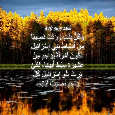 Picture 04 - اَلْعَدَد 36:8 AVD - وَكُلُّ بِنْتٍ وَرَثَتْ - Bible Verse Picture