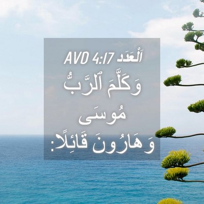 Picture 04 - اَلْعَدَد 4:17 AVD - وَكَلَّمَ ٱلرَّبُّ مُوسَى - Bible Verse Picture
